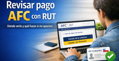 Revisar pago AFC con RUT en la Sucursal Virtual para ver estado de la solicitud